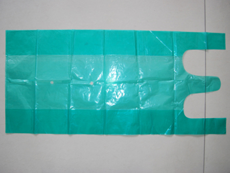 彩色蔬(shu)菜手提袋(dài)